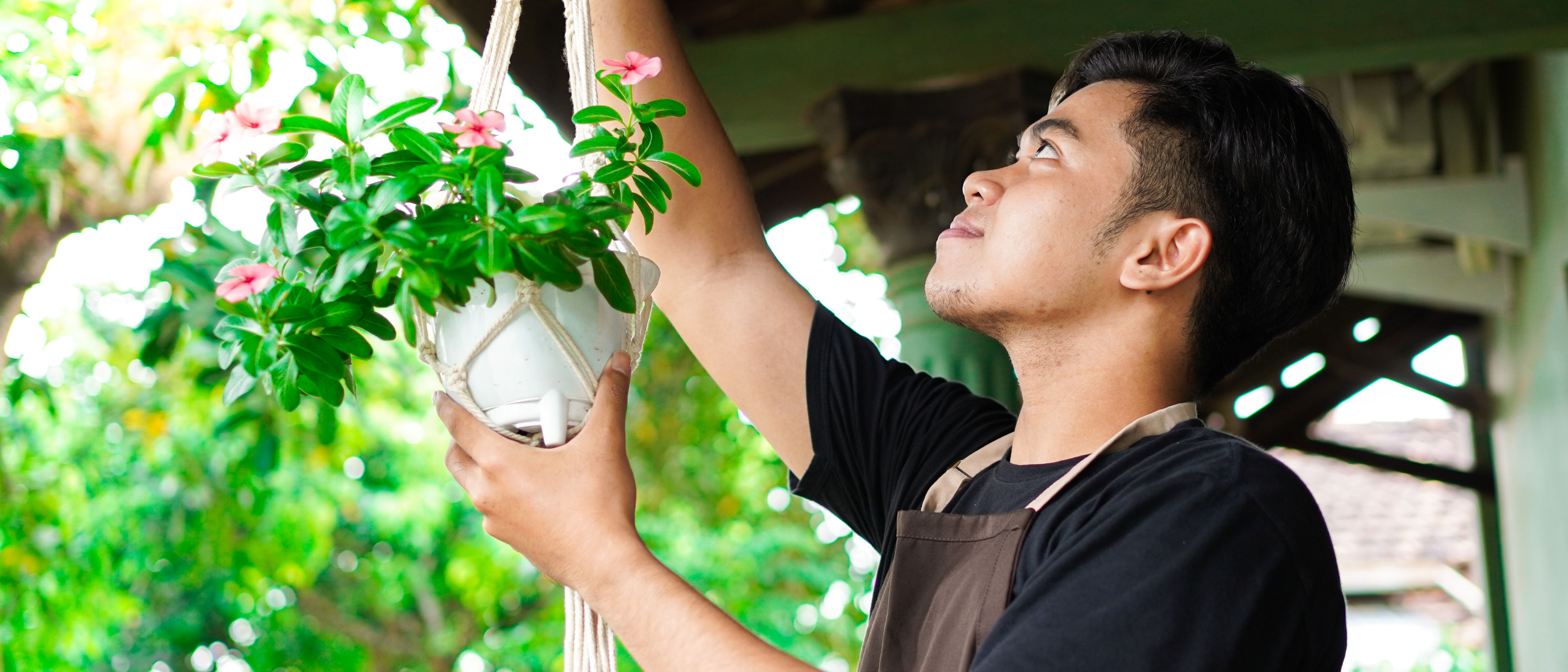 Man hanging plant at home