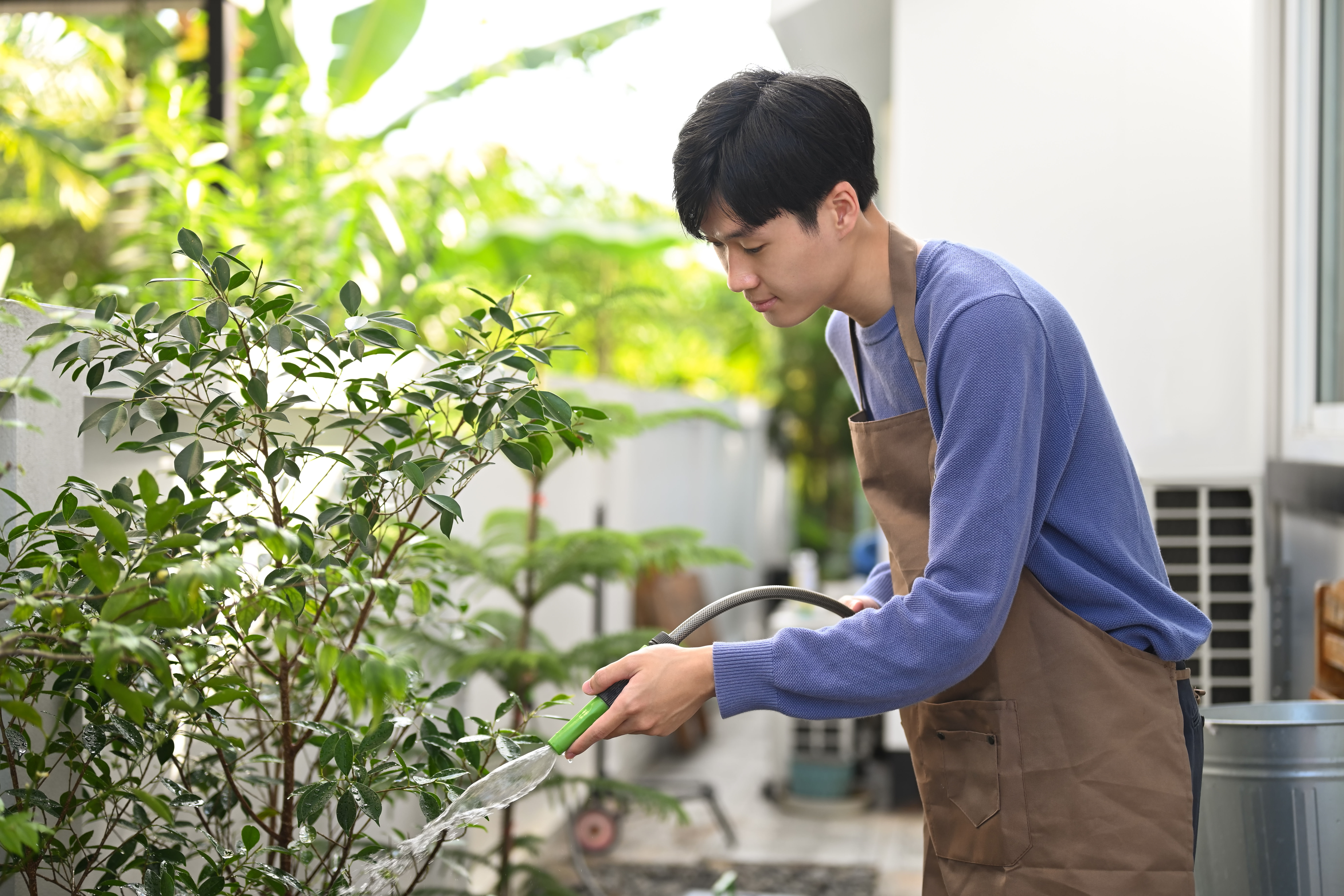 Man watering Plants